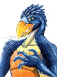  2019 4_fingers adleisio aggressive anthro avian beak bird blue_body blue_feathers bodily_fluids bust_portrait cariamiform claws dinosaur feathered_arms feathers fingers green_eyes hi_res male multicolored_body multicolored_feathers open_beak open_mouth orange_beak orange_body orange_feathers pink_tongue portrait reptile saliva saliva_string scalie simple_background snarling solo teeth terror_bird tongue watermark white_background white_body white_feathers 