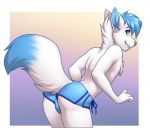  anthro bent_over blue_body blue_clothing blue_fur blue_hair canid canine chest_tuft clothed clothing fluffy fluffy_tail fox fur hair lockworkorange looking_back male mammal simple_background solo standing swimming_trunks swimwear topless tuft white_body white_fur 