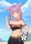  1girl :d animal_ears armband bandeau bangs bare_arms bare_shoulders black_skirt blue_sky braid breasts cat_ears cat_tail chinese_commentary cleavage clio_(dabingshi_clio_da) cloud collarbone commentary_request cowboy_shot day eyebrows_visible_through_hair facial_mark final_fantasy final_fantasy_xiv floral_print hand_on_hip hand_up highres holding holding_hair long_hair looking_at_viewer low_twintails medium_breasts midriff miqo&#039;te nail_polish navel open_mouth outdoors purple_hair purple_nails sidelocks skirt sky slit_pupils smile solo standing stomach strapless tail tubetop twin_braids twintails weibo_logo weibo_username whisker_markings yellow_eyes 