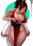  1girl bare_shoulders breasts brown_eyes brown_hair cleavage closed_mouth fatal_fury high_ponytail hip_focus large_breasts long_hair ninja obi pelvic_curtain ponytail rejean_dubois revealing_clothes sash shiranui_mai smile the_king_of_fighters thighs 