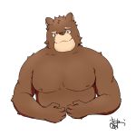  1:1 2019 anthro brown_body brown_fur fur hi_res humanoid_hands maatarou male mammal moobs nipples simple_background slightly_chubby solo ursid white_background 