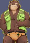  2019 anthro belly brown_body brown_fur bulge clothing fur hi_res humanoid_hands maatarou male mammal pubes simple_background slightly_chubby solo underwear ursid 