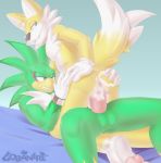  anal avian canid canine gobanire jet_the_hawk male male/male mammal miles_prower sex sonic_riders sonic_the_hedgehog_(series) 