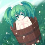  bad_id bad_pixiv_id bucket green_eyes green_hair hair_bobbles hair_ornament in_bucket in_container kisume long_hair mikazuki_sara nude solo touhou twintails wooden_bucket 