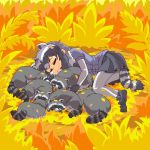  1:1 2019 animal_humanoid arai-san eyes_closed feral fur grey_body grey_fur human_and_animal_ears humanoid humanoid_hands kemono_friends mammal mammal_humanoid multi_ear procyonid procyonid_humanoid raccoon raccoon_humanoid sleeping umikazenet3 