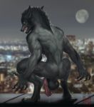  2019 5_fingers anthro back_muscles backsack balls big_muscles big_penis bodily_fluids body_fur canid canine canis crouching detailed_background digitigrade dripping erection fangs fingers fur genital_fluids grey_body grey_fur hi_res humanoid_penis hybrid_penis knot knotted_humanoid_penis looking_at_viewer male mammal muscular muscular_male nude penis pinup pose precum rear_view snarling solo teeth_bared thehornslounge vein veiny_penis were werecanid werecanine werewolf wolf yellow_eyes 