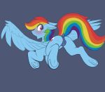  absurd_res dingoflame_(editor) edit equid equine female feral friendship_is_magic hi_res mammal my_little_pony phenyanyanya presenting pterippus rainbow_dash_(mlp) simple_background wings 