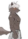  abs athletic athletic_male black_nose bottomwear brown_body brown_fur canid canine canis clothed clothing domestic_dog fur hi_res male mammal nipples red_eyes scar simple_background solo stakeho_lder tadatomo tokyo_afterschool_summoners topless video_games white_background yellow_sclera 