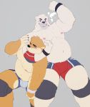  2019 anthro asphyxiation barazoku blush boxers_(clothing) brown_bear bulge choking cigarette clothing domination elbow_pads flexing grin grizzly_bear half-closed_eyes hi_res knee_pads looking_at_another mammal merfiller_(artist) polar_bear sleeper_hold slightly_chubby smile smoking strangling struggling underwear ursid ursine wrestling 
