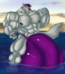  bulge canid canine canis clothing fierglief hyper hyper_bulge hyper_penis koryuu_(character) looking_at_viewer male mammal muscular muscular_male penis speedo sunset swimwear vein water wolf 