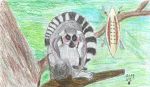 2019 anthro gashren lemur looking_at_viewer male mammal melee_weapon polearm primate ring-tailed_lemur shield signature sitting spear strepsirrhine traditional_media_(artwork) tribal tribal_warrior weapon 