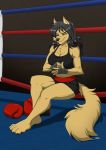  2019 4_toes 5_fingers absurd_res anthro arm_tuft athletic black_hair black_nose bottomwear boxing boxing_gloves bra breasts canid canine canis cheek_tuft chest_tuft claws cleavage clothed clothing collarbone elbow_tufts eyebrows eyelashes facial_tuft female fighting_ring finger_claws fingers fur green_eyes hair half-closed_eyes hand_wraps handwear hi_res inner_ear_fluff jessica_(sorenfisticuffs) long_hair mammal midriff navel shorts shoulder_tuft signature sitting smile smirk solo sport sports_bra tan_body tan_fur toe_claws toes tuft underwear wendel_fragoso wolf wraps 