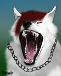  bodily_fluids canid canine canis drooling fur hair koazynka krogaalt(koazynka) mammal mouth_shot open_mouth saliva simple_background teeth tongue wolf 