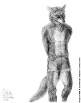 1998 bottomwear canid canine canis clothing coyote cutoffs denim denim_clothing male mammal rhodin shorts solo 