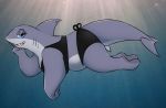  2019 anthro bedroom_eyes belly big_breasts bikini blue_eyes breasts butt clothed clothing countershading dorsal_fin eyelashes female fin fish gills half-closed_eyes hi_res honeymono looking_at_viewer marine non-mammal_breasts seductive shark sharp_teeth side_view slightly_chubby smile solo swimming swimwear teeth thick_tail underwater water 