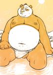  2019 absurd_res anthro asian_clothing balls belly bodily_fluids bulge clothing dreamworks east_asian_clothing fundoshi giant_panda hi_res japanese_clothing kung_fu_panda male mammal master_po_ping mayku moobs navel nipples overweight overweight_male sitting solo sweat underwear ursid water 