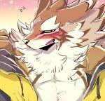  absurd_res bush_(disambiguation) canid canine canis clothing embarrassed fluffy hi_res invalid_tag jackal jacket male mammal nokia1124_a pecs seth_(tas) tokyo_afterschool_summoners topwear undressing video_games 