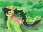  4:3 female grovyle male male/female nintendo penis pok&eacute;mon pok&eacute;mon_(species) pussy red_sclera seviper surfing_charizard vaginal video_games yellow_sclera 