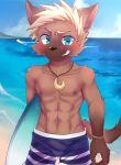  abs beach blush bulge canid canine clothed clothing hi_res jewelry male mammal manadezimon muscular muscular_male necklace pecs sea seaside solo surfboard teenager topless water wet young 