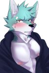  abs anthro blush bodily_fluids canid canine canis clothed clothing ear_piercing hi_res male mammal manadezimon muscular muscular_male open_shirt pecs piercing shirt solo sweat sweatdrop topwear wolf 