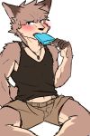  anthro blush bodily_fluids canid canine clothing eating food hi_res jewelry male mammal manadezimon necklace popsicle shirt sitting solo sweat tank_top topwear 