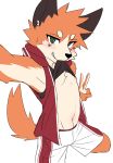  anthro blush bodily_fluids bulge canid canine clothed clothing clothing_lift fox gesture hi_res male mammal manadezimon open_vest seductive selfie shirt shirt_lift solo sweat sweatdrop topwear v_sign vest young 