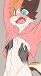  anthro blush bottomless clothed clothing disembodied_hand domestic_cat felid feline felis hi_res hoodie male mammal manadezimon meme nipple_pinch nipple_play nipple_stimulation pinch solo topwear twitter_hoodie young 