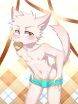  anthro blush bulge candy chocolate clothed clothing domestic_cat felid feline felis food hi_res male mammal manadezimon solo topless underwear v-cut young 