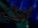  domestic_cat felid feline felis halloween hi_res holidays invalid_color magic magic_user mammal michelle_(disambiguation) night nude witch 