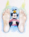  4_toes accessory animaniacs barefoot black_body black_fur clothing cwtfern dot_warner feet female flower flower_in_hair foot_focus fur gloves hair hair_accessory handwear inkblot mammal painting_(artwork) plant smile soles solo toes traditional_media_(artwork) warner_brothers watercolor_(artwork) young 
