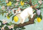  animal bird branch cat cat_focus flower food fruit leaf lemon looking_at_viewer mouth_hold no_humans original takigraphic tree white_flower 