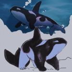  1:1 2019 black_body cetacean delphinoid feral hi_res hybrid mammal marine oceanic_dolphin orca polar_bear swigmama toothed_whale ursid ursine water white_body 