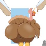  1:1 ? anthro avian beak big_breasts bird breasts butt butt_focus female galliform hi_res holidays huge_breasts looking_back non-mammal_breasts phasianid thanksgiving thick_thighs turkey zp92 