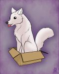  2019 ambiguous_gender box canid canine canis digital_media_(artwork) feral fur lichfang mammal open_mouth solo teeth tongue tongue_out white_body white_fur wolf 