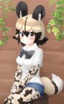  1girl absurdres african_wild_dog_(kemono_friends) african_wild_dog_print animal_ears bow bowtie commentary_request denim denim_shorts dog_ears dog_tail highres huge_filesize kemono_friends legwear_under_shorts log multicolored_hair pantyhose shirt_under_shirt shorts sitting solo tail talented_feather 