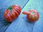  food fruit inanimate tagme tomato 