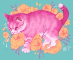  2019 blue_background cub domestic_cat felid feline felis feral flower fur kaitycuddle mammal pink_body pink_fur plant signature simple_background young 