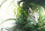  2019 alectorfencer ambiguous_gender black_nose blue_eyes canid canine canis digital_media_(artwork) feral fur headshot_portrait leaf mammal portrait simple_background solo this_was_an_invalid_tag_name white_background white_body white_fur wolf 