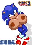  anthro big_breasts breasts female huge_breasts solo sonic_the_hedgehog sonic_the_hedgehog_(series) tagme 