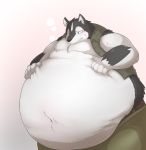  anthro belly belly_grab big_belly black_body black_fur blush bodily_fluids canid canine canis clothed clothing fur hand_on_stomach hi_res male mammal midriff navel novtoon obese obese_male open_shirt overweight overweight_male self_grab shirt solo sweat sweatdrop topwear white_body white_fur 