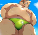  2019 absurd_res anthro belly bhtoss blush bodily_fluids bulge clothing cum genital_fluids gouryou hi_res male mammal moobs navel nipples outside overweight overweight_male solo suid suina sus_(pig) swimwear tokyo_afterschool_summoners video_games wild_boar 