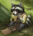 ambiguous_gender black_nose clothed clothing detailed_background digital_media_(artwork) firefeathers fur hi_res hit_point_games holding_object humblewood mammal procyonid raccoon sitting solo tongue tongue_out 