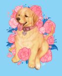  bird_dog black_nose canid canine canis collar digital_media_(artwork) domestic_dog feral flower fur golden_retriever hunting_dog kaitycuddle mammal name_tag plant retriever sitting solo tongue tongue_out 
