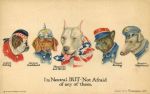  1915 abstract_background ambiguous_gender bull_terrier bulldog canid canine canis clothing dachshund domestic_dog english_text french german hi_res hunting_dog mammal mastiff molosser postcard russian terrier text uniform united_states_of_america wallace_robinson wolfhound world_war_1 