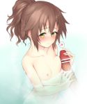  1girl bangs bar_censor bathing blush breast_press breasts brown_hair censored closed_mouth collarbone eiyuu_densetsu green_eyes hair_between_eyes hakuleg heart long_hair nipples nude penis pointless_censoring ponytail sen_no_kiseki small_breasts smile solo tied_hair towa_herschel upper_body 