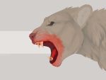  4:3 blood bodily_fluids felid feral grey_background kit.kit lion mammal open_mouth pantherine roaring simple_background solo 