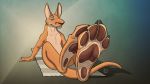  darper feet foot_focus hi_res kangaroo macropod male mammal marsupial solo 