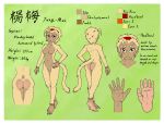  accessory barefoot breasts countershade countershading eyebrows eyelashes feet female fingers fur hair hair_accessory hairband haplorhine hi_res mammal model_sheet monkey nude primate sewlde yang-mei_(sewlde) 