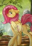  absurd_res anus bodily_fluids butt chickenbrony digital_media_(artwork) equid equine female feral fluttershy_(mlp) friendship_is_magic genital_fluids hi_res mammal my_little_pony outside pterippus pussy pussy_juice raised_tail solo wings 