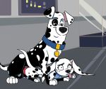  101_dalmatian_street 101_dalmatians 2019 absurd_res animal_genitalia animal_penis balls black_body black_fur canid canine canis collar dalmatian daughter disney domestic_dog father father_and_child father_and_daughter female feral fur hi_res hypergal incest knot male male/female mammal multicolored_body multicolored_fur parent parent_and_child penis questionable_consent smile spots spotted_body spotted_fur tongue tongue_out two_tone_body two_tone_fur white_body white_fur young 